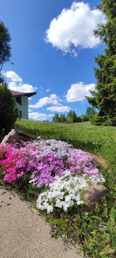 Šírovka Horni Polubny Exterior foto